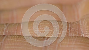 White detailed caucasian human skin on hand fingers closeup in macro