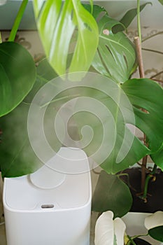 a white device for humidifying the air works near indoor plants.