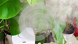 a white device for humidifying the air works near indoor plants in pots.