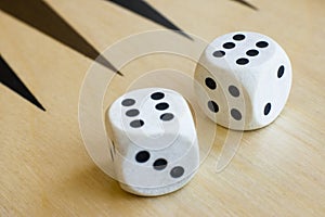 White dices photo