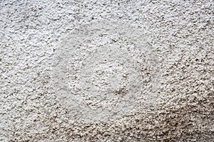 White dirty rough grey stone concrete wall texture