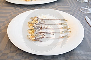 White dish with fishbone of a group of sardines in a row