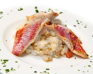 White dish with rice , red mullet fillets and seafood