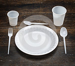 White disposable dishware set