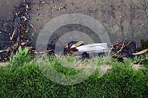 White disposable mask thrown on the street next to plants making dirt