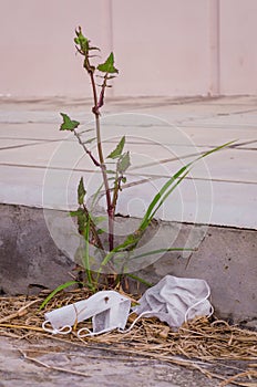 White disposable mask thrown on the street next to plants making dirt