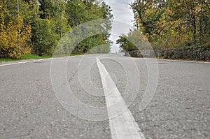 White dividing strip on the asphalt road in the autumn forest