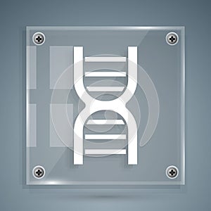 White DNA symbol icon isolated on grey background. Square glass panels. Vector