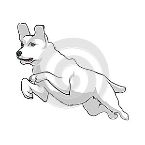 White Dog is jumping. Active dog. Stock Vectors