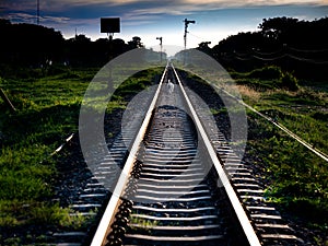 White Dog Walking on The Railway Tracks