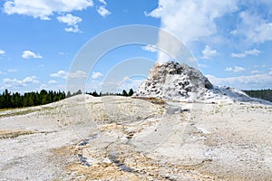White Dome Geyser erupting in the Great Fountain Group, Yellowstone National Park, USA