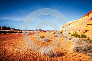 White Domes Hike