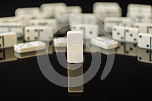 White dominoes with single blank domino