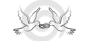 Weiß Taube vogelbeobachtung dekorativ Hochzeit Karte zeichnung 