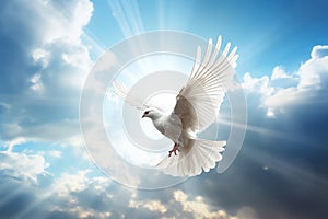 A white dove in a blue sky. The concept of freedom, International Day of Peace