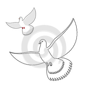 White Dove coloring book. Flying white pigeon. Contour bird waving wings. Childrens coloring book with bird.
