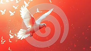 A white dove flies among birds, symbolizing peace in the sky