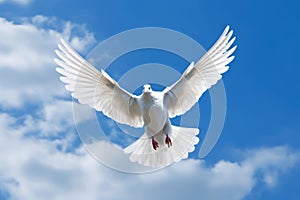 A white dove in flight against a blue sky with fluffy clouds. Generative AI