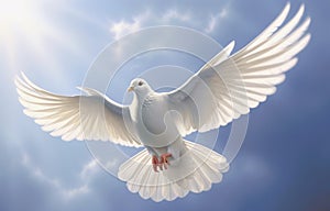 White dove in flight on blue sky background. Freedom and peace concept