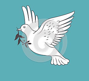 White dove in flight holding an Olive Branch.