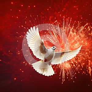 White dove in flight on red background with fireworks explosions. New Year\'s fun and festiv