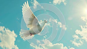 White dove flying against blue sky