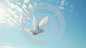 White dove flying against blue sky