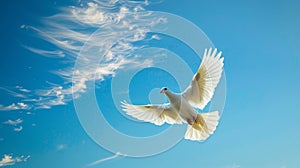 White dove flying against blue sky