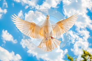 A white dove flying in a blue sky with fluffy clouds.