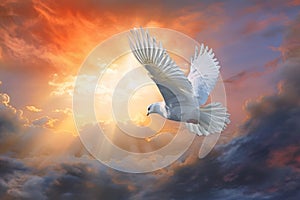 a white dove flying through a cloudy sky with the sun shining through the clouds behind it and the sun shining through the clouds