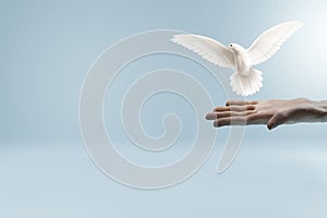 White dove flying out of hand