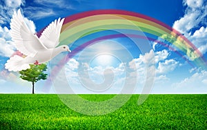 White Dove flying in a rainbow landscape