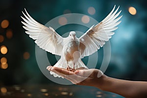 White dove flying to the sky, peace, pacifism and consciousness, purity and postive emotion, love and freedom, holy spirit, pigeon photo
