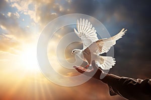 A white dove on hand against a blue sky background.