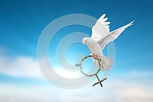 White dove holding green branch in Venus symbol shape flying on blue sky