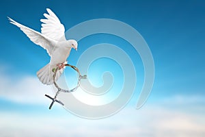 White dove holding green branch in Venus symbol shape flying on blue sky