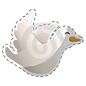 White dove icon image design