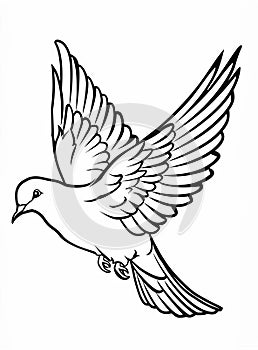 white dove illustration on white background