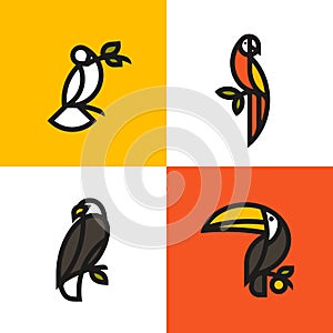 White dove, macaw parrot, bald eagle and toucan. Bold line style logo mark templates or icons set of birds sitting on branches