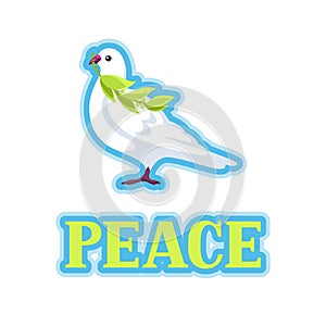 White dove of peace bears olive branch