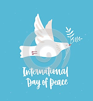 White dove, pigeon or bird flying and carrying olive branch. Beautiful symbol of love and pacifism and International Day