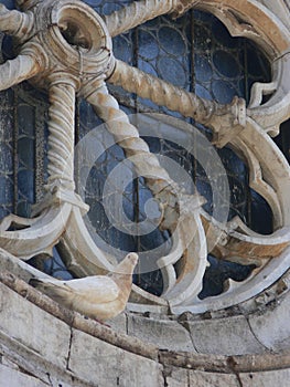 White Dove resting on old rose window of romanesque church photo