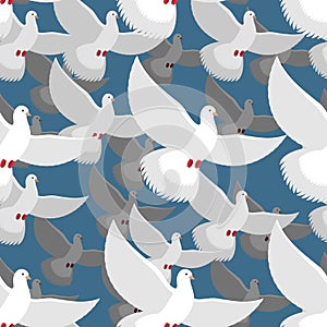 White Dove seamless pattern. flock of white doves in blue sky. T