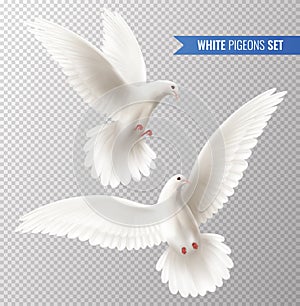 White Dove Set