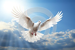 white dove in the sky, AI generated