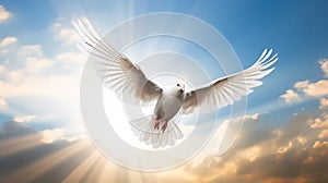 A white dove a sky with clouds background. Symbol of love and peace descends from sky