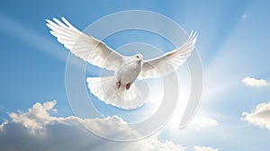 A white dove a sky with clouds background. Symbol of love and peace descends from sky