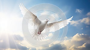 A white dove a sky with clouds background. Symbol of love and peace descends from sky