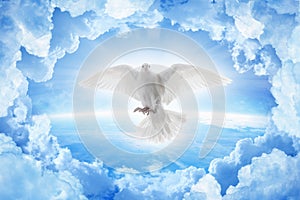 White dove symbol of love and peace flies above planet Earth