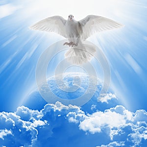 White dove symbol of love and peace flies above planet Earth